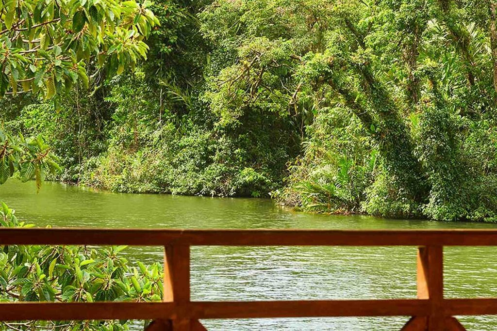 Blick von der Casa Riverview auf den Fluss