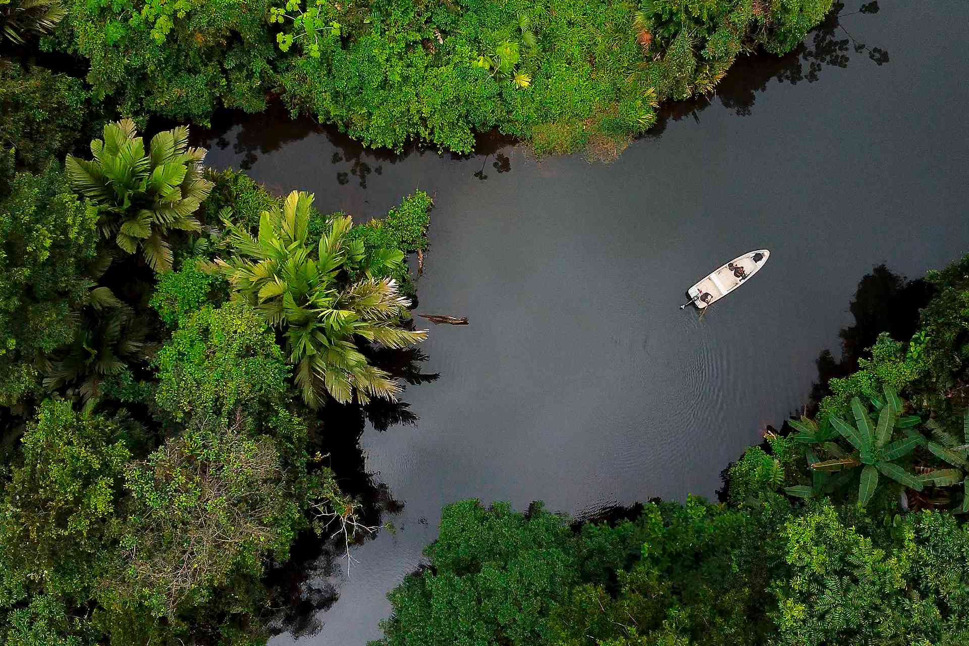 Boot auf einem Regenwaldfluss in Panama aus der Luft