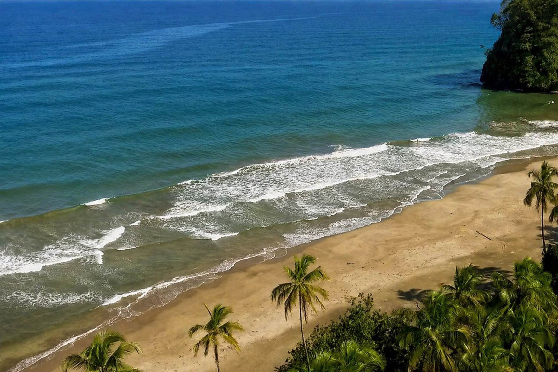 Sandstrand mit Palmen und Regenwald an der Karibikküste Panamas